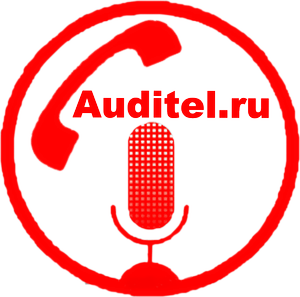  auditel.ru  Аудит звонков показывает соблюдение стандартов телефонных продаж: открытие и установление контакта с потенциальным покупателем, постановка вопросов для понимания потребностей покупателя
